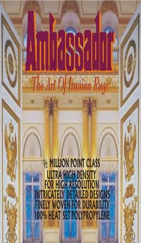 Ambassador